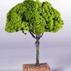 Albero Ad Innesto Senza Base 14Cm