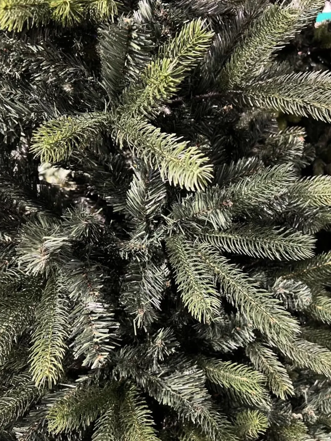 Albero Di Natale Matera 240Cm Verde