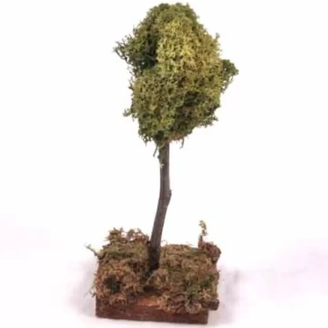 Albero Lichene H15Cm