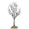 Albero Spoglio - Butternut Tree Small