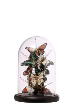 Campana Vetro Con Farfalle 17,5X26Cm