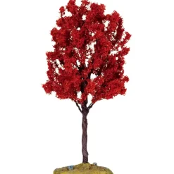 Cipresso Rosso Medio - Baldcypress Tree, Medium