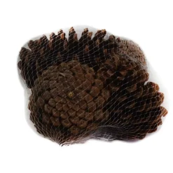 Decorazione Pigna Naturale Sacchetto 4 Pezzi Cm10-12