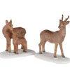 Famiglia Renne - Deer Family Set Di 2
