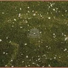 Foglio Carta Con Muschio Cm. 70X50 Per Presepe
