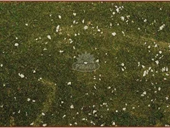 Foglio Carta Con Muschio Cm. 70X50 Per Presepe