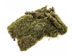 Muschio Naturale A Tappeto Per Presepe 350 Gr