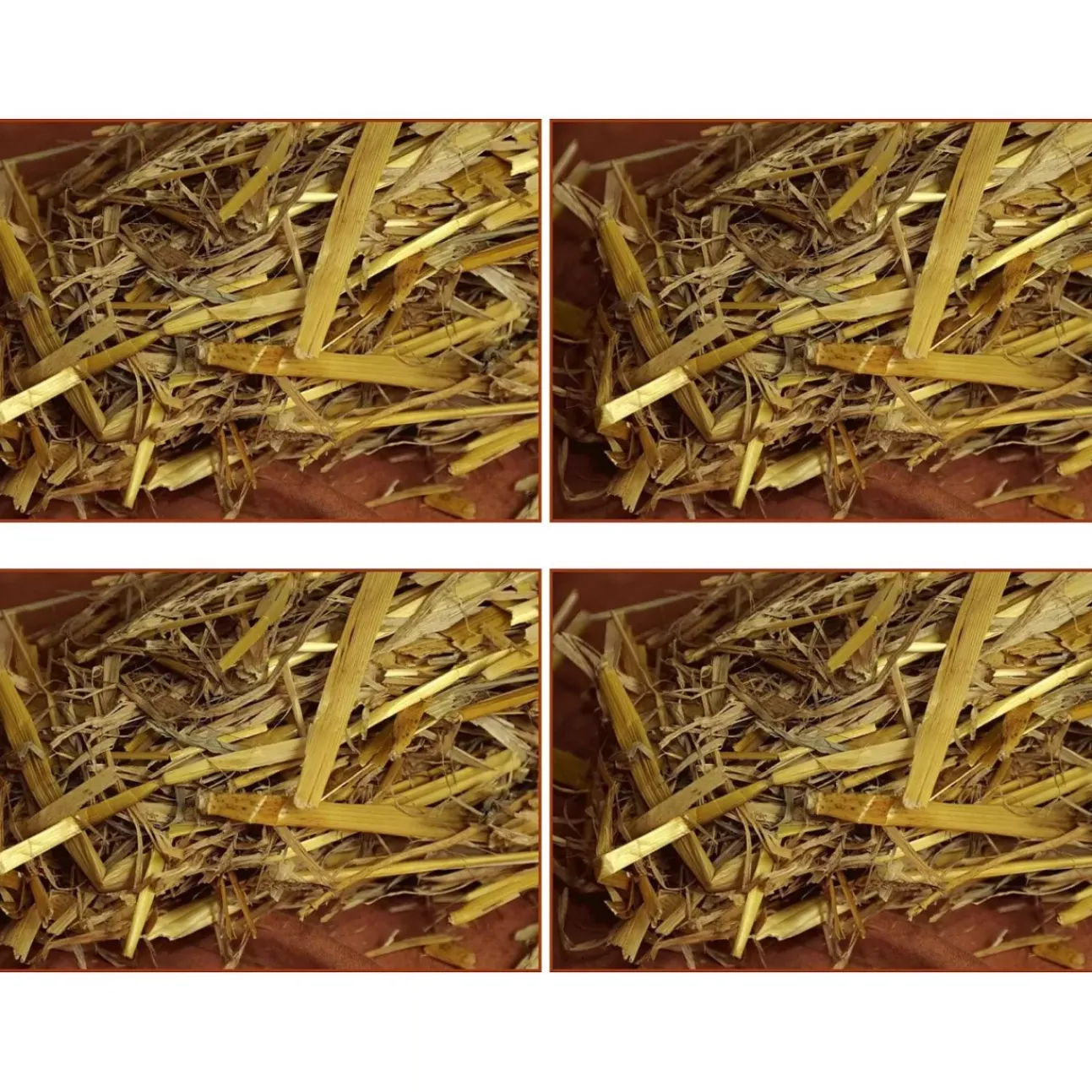 Offerta 4 Paglia Naturale Per Presepe 80Gr