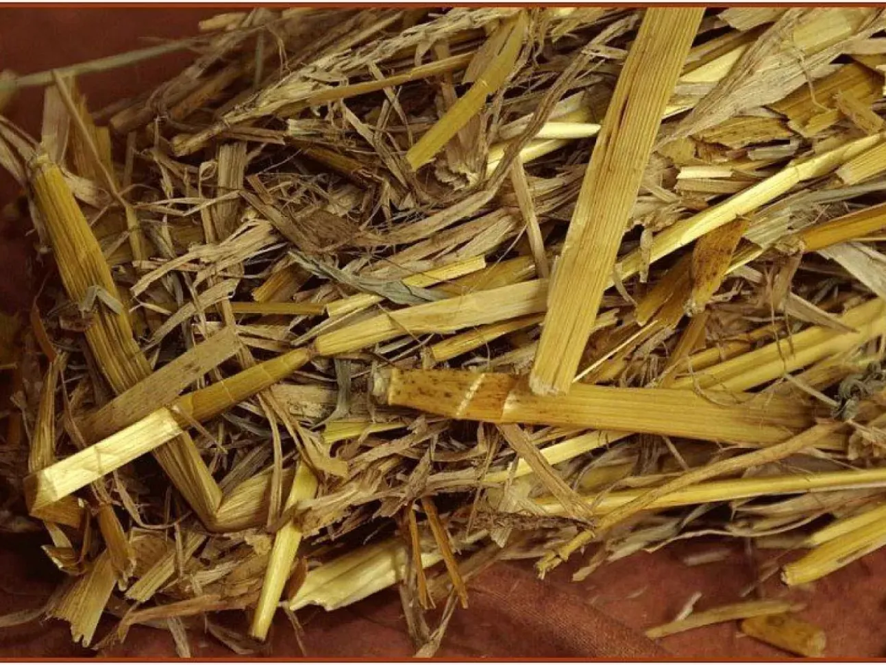 Offerta 4 Paglia Naturale Per Presepe 80Gr