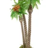 Palma Tripla H24Cm