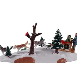 Pomeriggio Con I Cani Da Slitta - Dog Sledding Afternoon