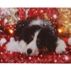 Quadro Natalizio Con Cagnolino 20X15X2.5Cm Con Microled Bianco Caldo