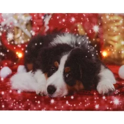 Quadro Natalizio Con Cagnolino 20X15X2.5Cm Con Microled Bianco Caldo