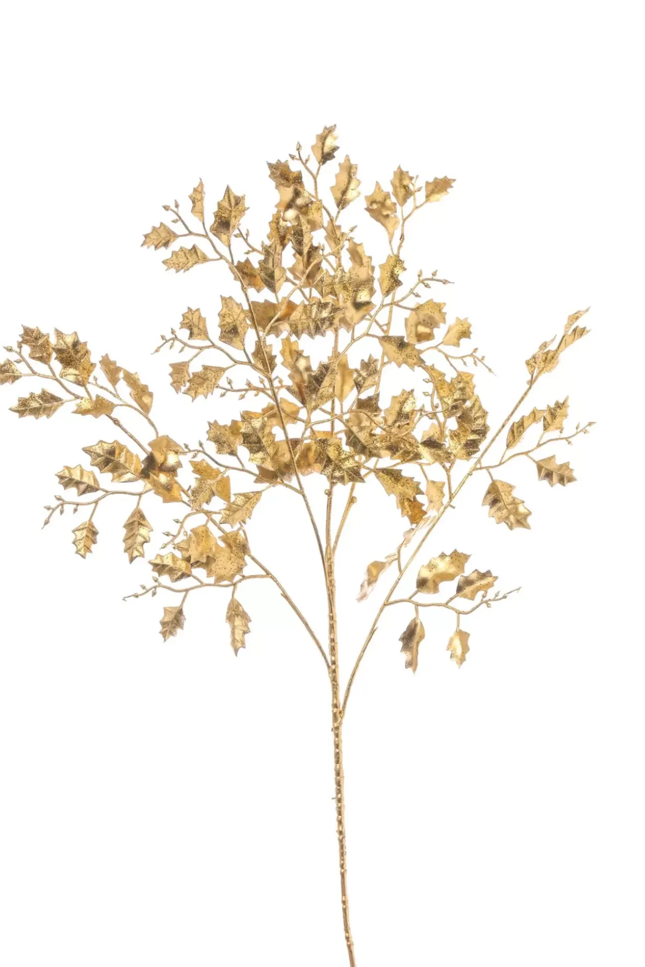 Ramo Agrifoglio Oro 86Cm