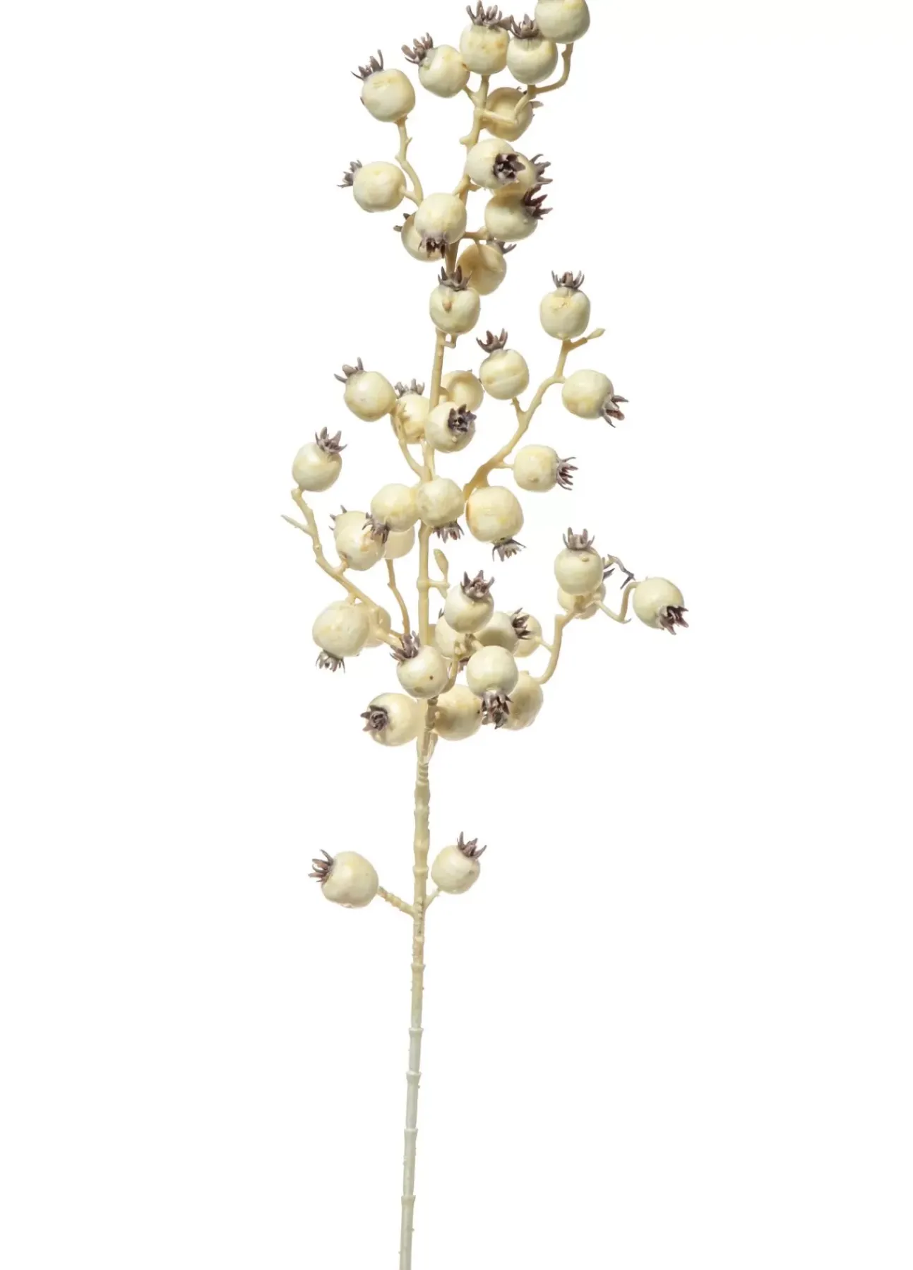 Ramo Con Bacche Crema 80Cm