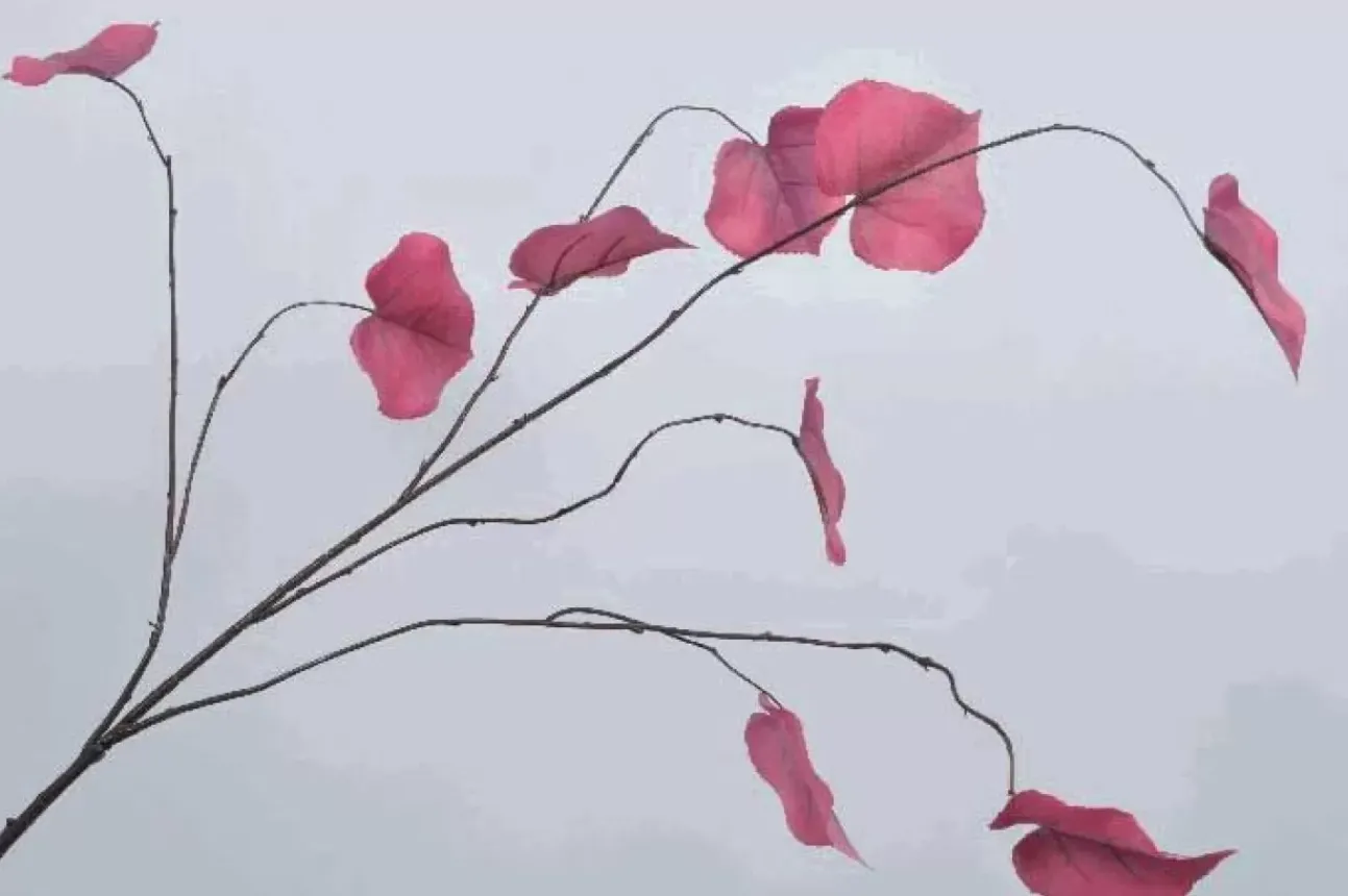 Ramo Con Foglie 102Cm Beauty