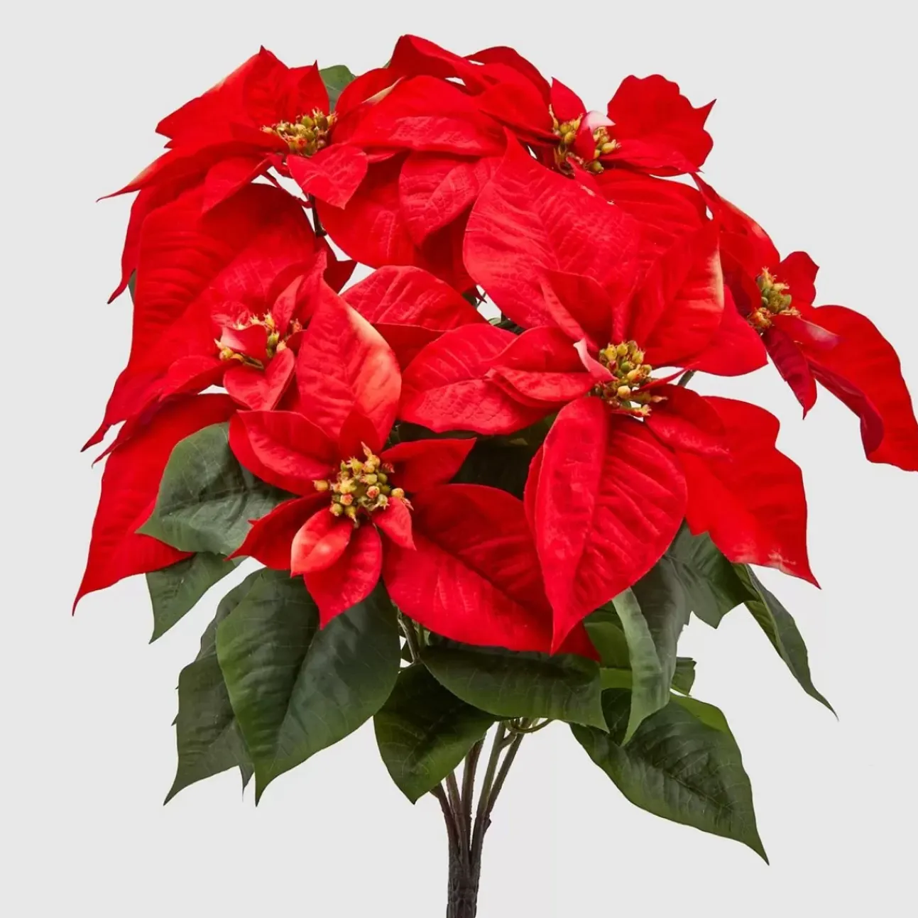 Ramo Con Stella Di Natale Rossa H51Cm
