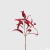 Ramo Di Eucalipto Rosso H60Cm