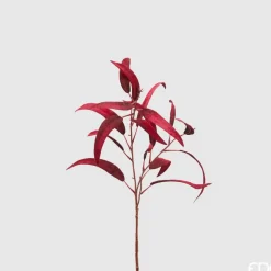 Ramo Di Eucalipto Rosso H60Cm