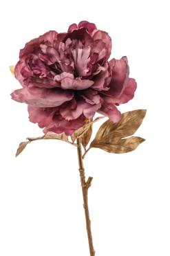 Ramo Oro Con Peonia Rosa 70Cm