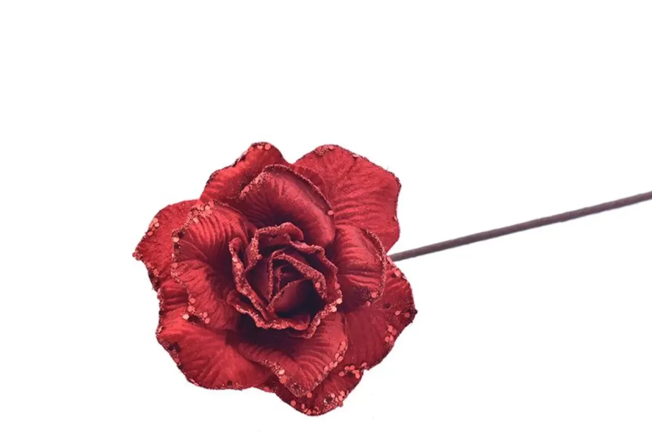 Rosa Con Gambo Lungo Rossa 70Cm