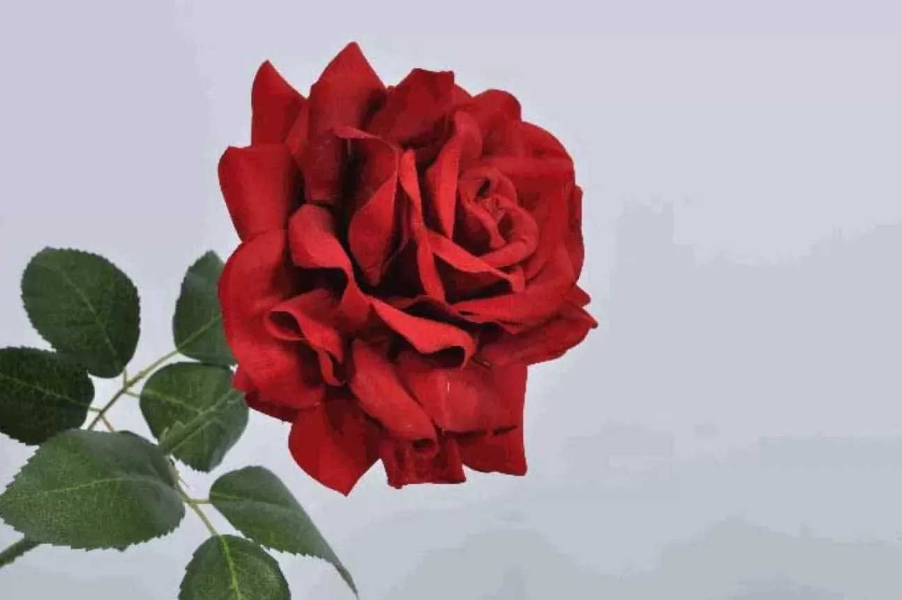 Rosa Decorativa Con Gambo 65Cm Rosso E Verde