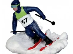 Sciatore In Slalom - Slalom Racer