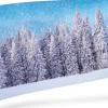 Sfondo Poster Foresta Innevata 150X75Cm